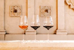 Bordeauxglas | Cocoon - Stölzle Lausitz | 750 ml (6 Stk)