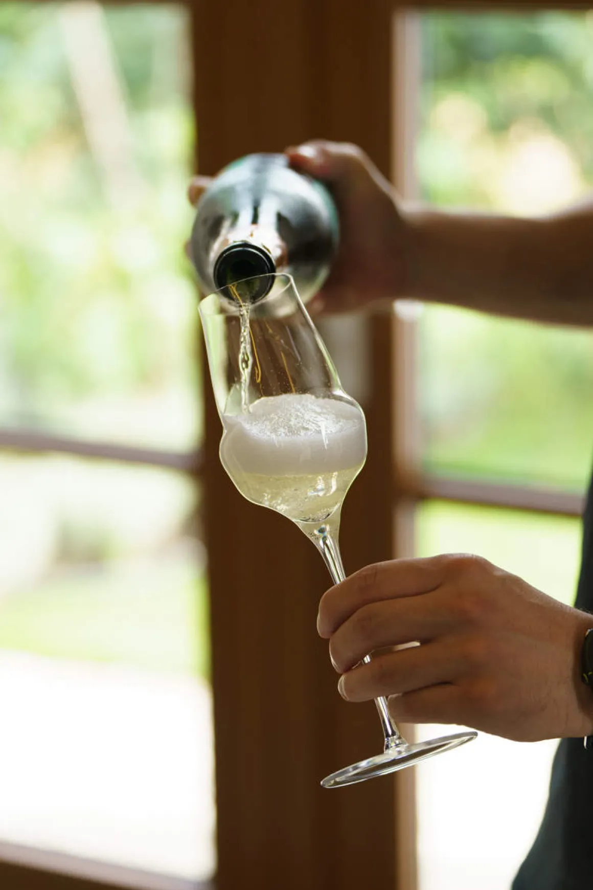 Champagnerglas | Cocoon - Stölzle Lausitz | 340 ml (6 Stk)