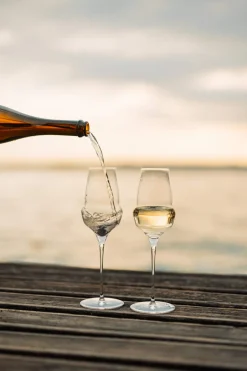 Champagnerglas | Cocoon - Stölzle Lausitz | 340 ml (6 Stk)