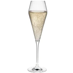 Champagnerglas | Edge - Rona | 220 ml (6 Stk)