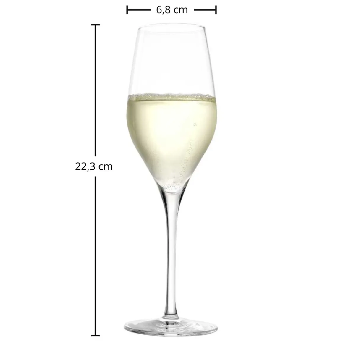 Champagnerglas | Exquisit - Stölzle Lausitz | 265 ml (6 Stk)