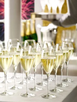 Champagnerglas | Prestige - Stölzle Lausitz | 0,1l Eiche - 345 ml (6 Stk)