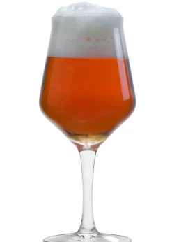 Craft Beer Glas 0,3l | Stölzle Lausitz | 430 ml (6 Stk)