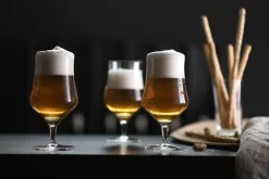 Craft Universal Bierglas 0,3l | Beer Basic - Schott Zwiesel | 450 ml (6 Stk)