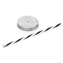 Deckel mit Trinkhalm - für Drinking Jar (6 Stk)