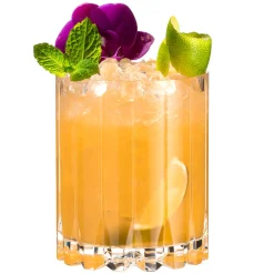 Double Rocks Glas | Drink Specific Glasware - Riedel Bar | 370 ml (2 Stk)