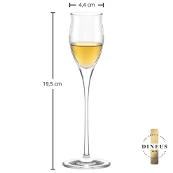 Edelbrand Glas | Quatrophil - Stölzle Lausitz | 65 ml (6 Stk)