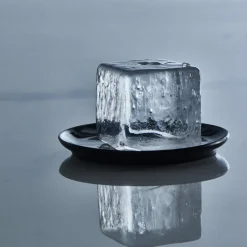 Eiswürfelform – Lurch | 12 x 4 cm