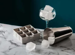 Eiswürfelform Silikon | 9 x 3,3 cm