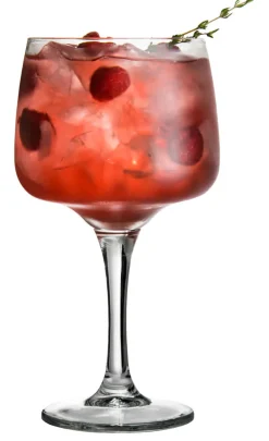 Gin-Tonic Mixer Glas | 600 ml