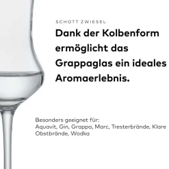 Grappa Glas | Bar Special - Schott Zwiesel | 110 ml