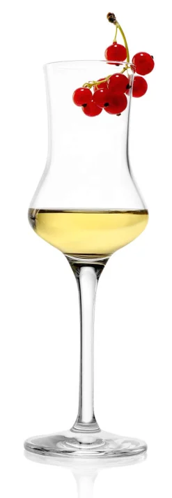 Grappaglas | Stölzle Lausitz | 90 ml