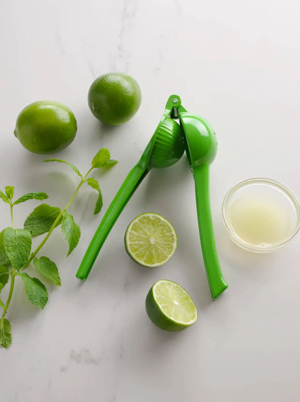 Handsaftpresse Klein | Limette