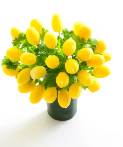 Kugelausstecher | 22 & 25 mm