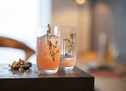 Longdrink Glas | Melody - Schott Zwiesel | 500 ml