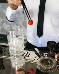 Pinzette Edelstahl | 30 cm