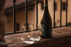 Rotweinbecher | Cocoon - Stölzle Lausitz | 560 ml (6 Stk)