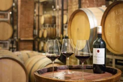 Rotweinglas | Starlight - Stölzle Lausitz | 510 ml (6 Stk)