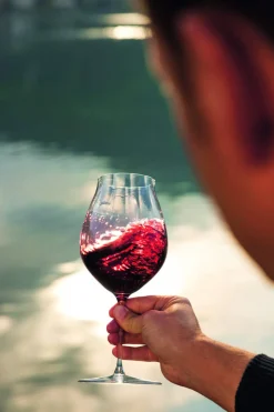 Rotweinglas Pinot Noir | Performance - Riedel | 830 ml (2 Stk)