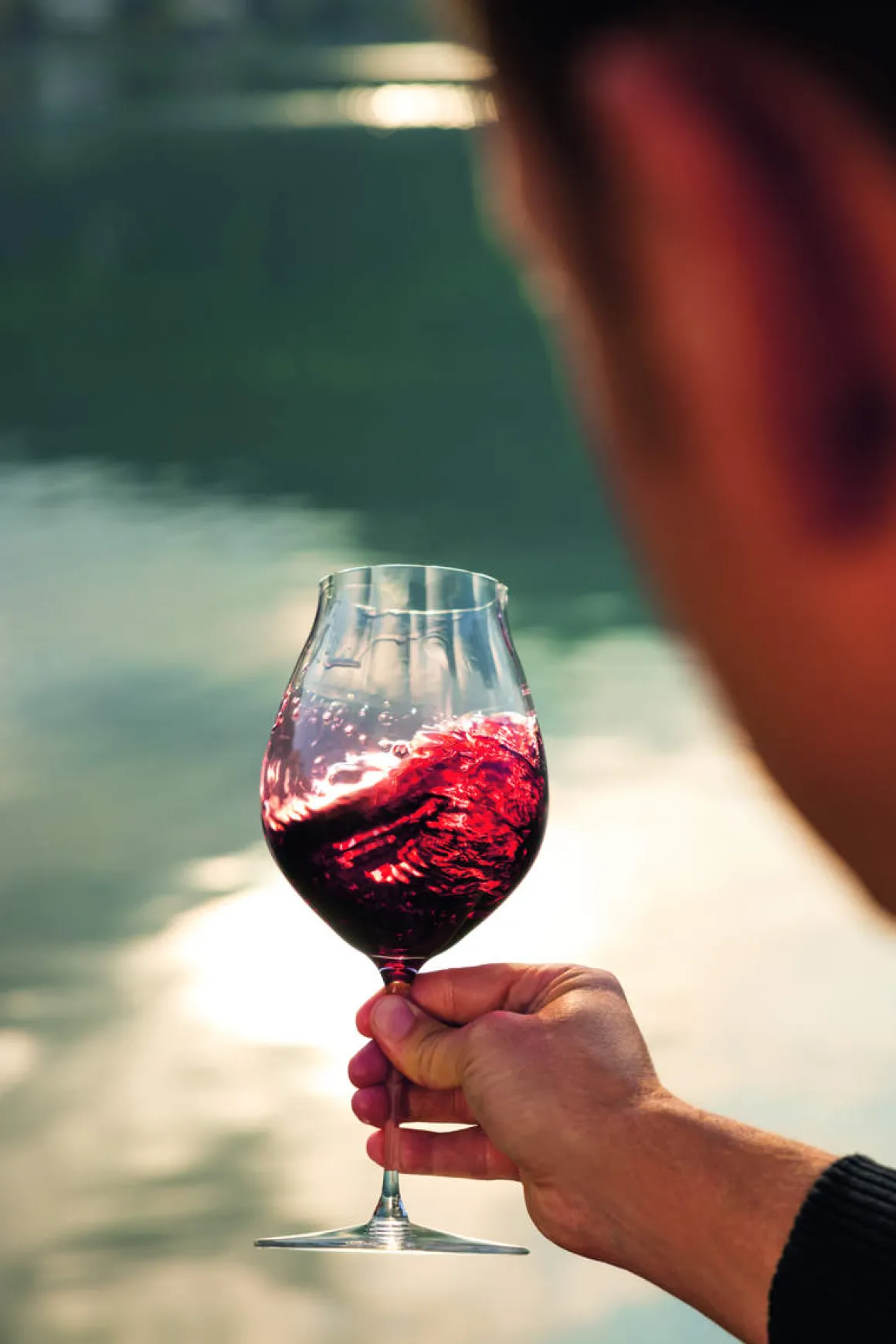 Rotweinglas Pinot Noir | Performance - Riedel | 830 ml (2 Stk)