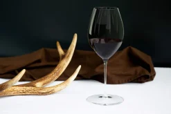 Rotweinglas Syrah - Shiraz | Performance - Riedel | 630 ml (2 Stk)