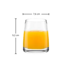 Saftglas | Experience - Stölzle Lausitz | 255 ml (6 Stk)