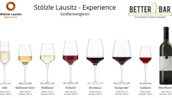 Sektglas | Experience - Stölzle Lausitz | 190 ml (6 Stk)