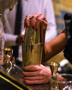 Tin-in-Tin Cocktail Shaker - Kenko | Gold