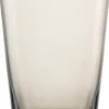 Wassergläser | Sonido - Schott Zwiesel | Taupe - 550 ml (6 Stk)