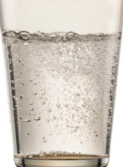 Wassergläser | Sonido - Schott Zwiesel | Taupe - 550 ml (6 Stk)