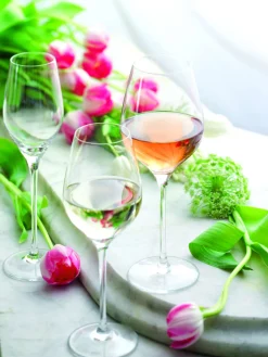 Weißweinglas | Exquisit Royal - Stölzle Lausitz | 350 ml (6 Stk)