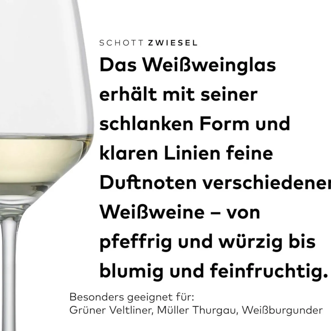 Weißweinglas | Taste - Schott Zwiesel | 0,2l Eiche - 360 ml (6 Stk)