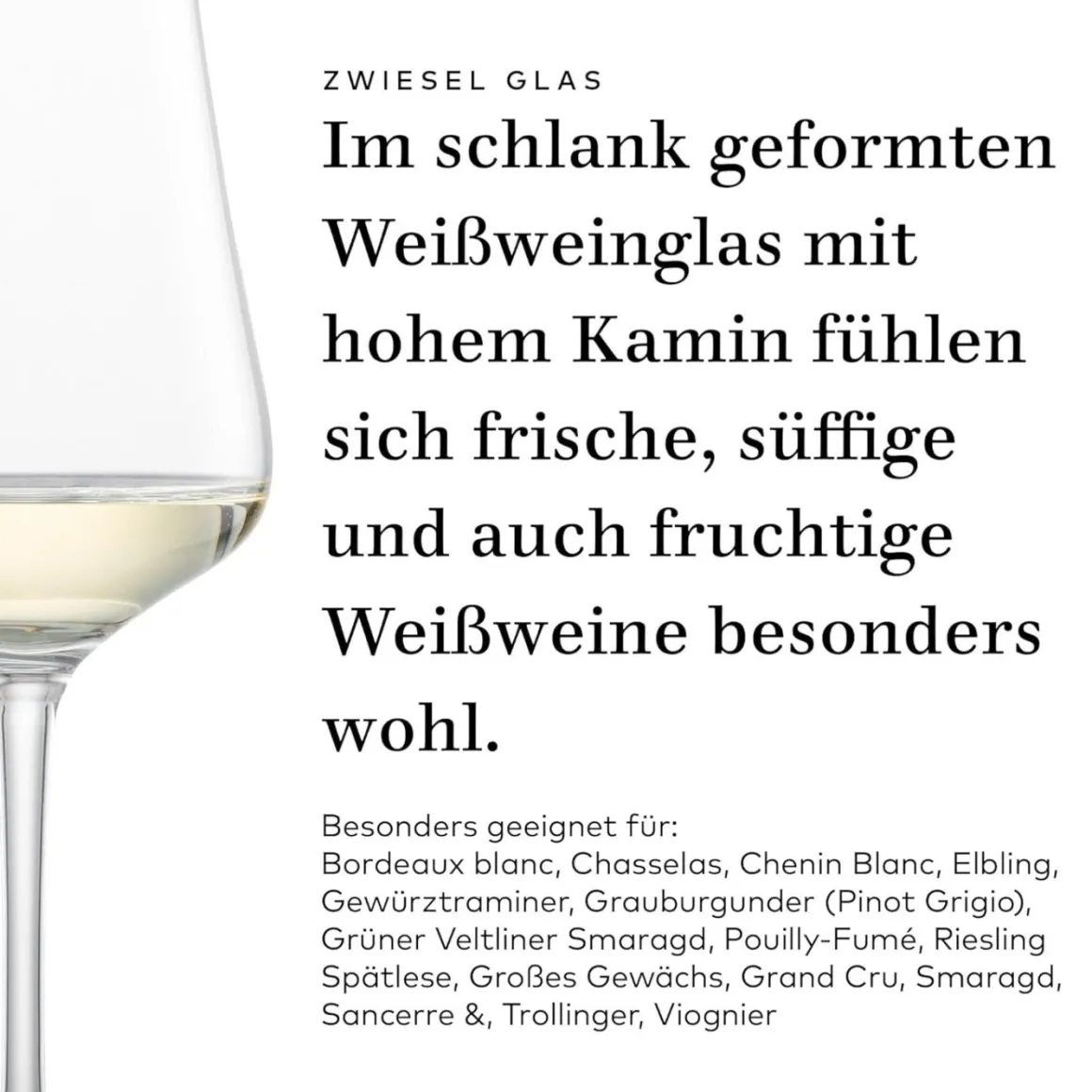Weißweinglas "Gavi" | Fine - Schott Zwiesel | 370 ml (6 Stk)
