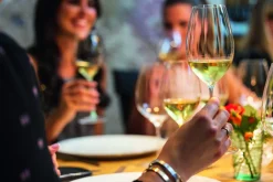 Weißweinglas Riesling | Performance - Riedel | 620 ml (2 Stk)